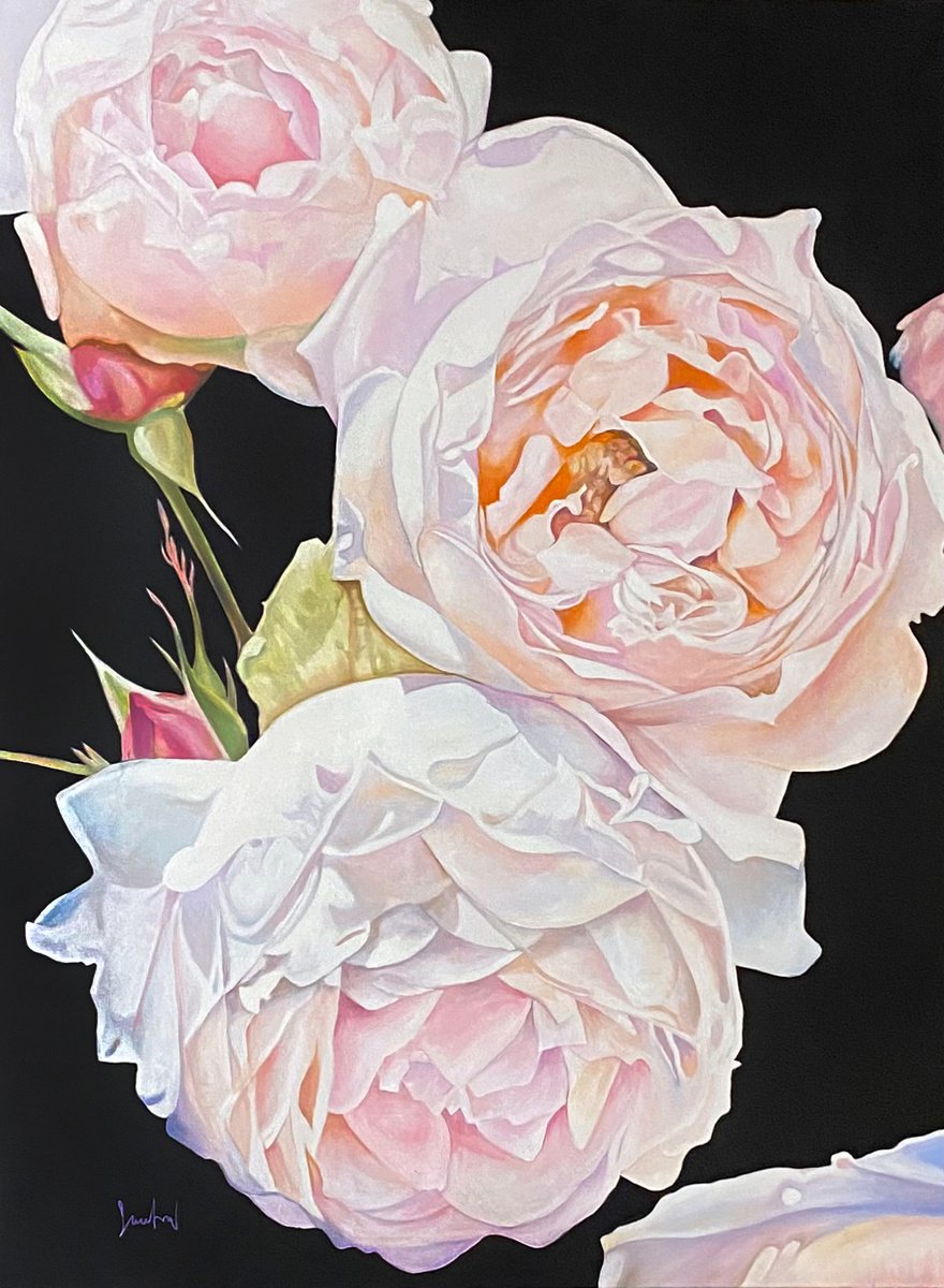 Where flowers bloom so does hope by Suzana Bulatovic