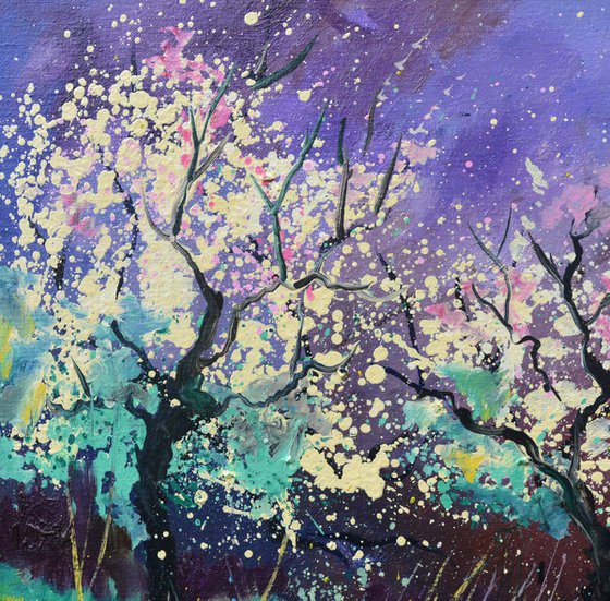 Appletrees in blossom -6523