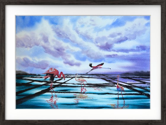 Flamingo Birds Sunset