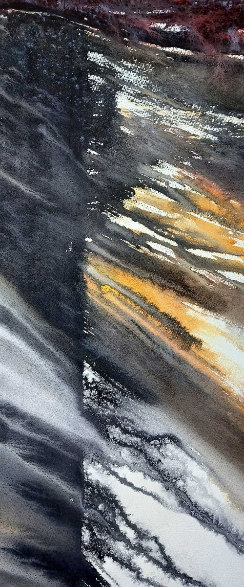 The Watery Wild by Neil Wrynne