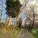 GA#266 nature 2 by Mattia Paoli