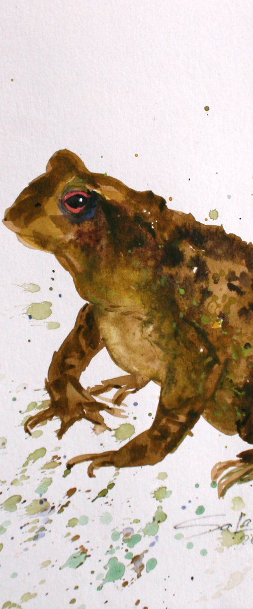 Frog 03 /  ORIGINAL PAINTING by Salana Art Gallery