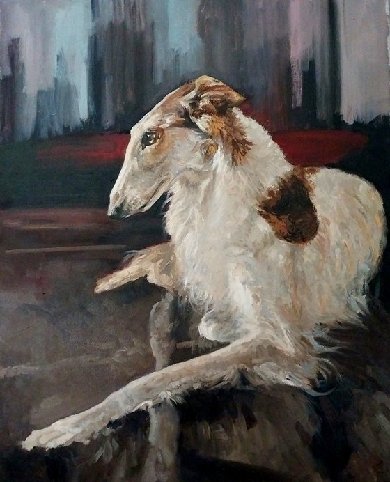 a greyhound on vacation