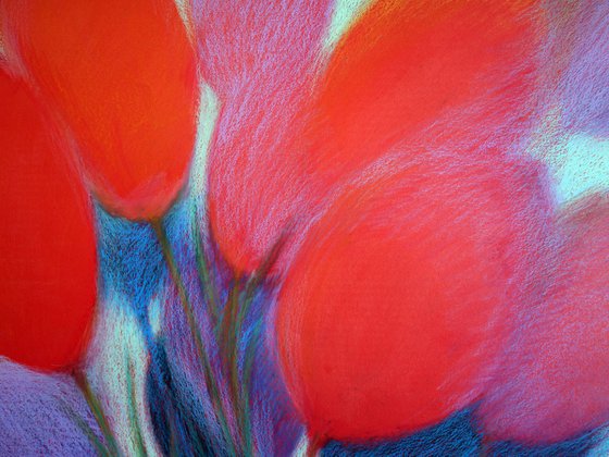 Tulips Red 7