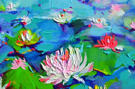 White Water Lilies on the Pond