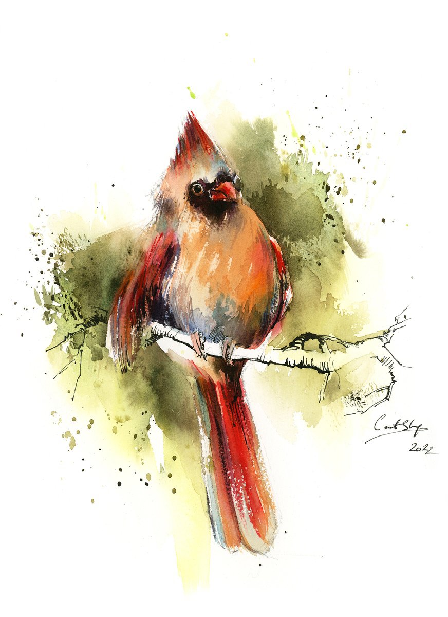 Impressionistic Animal Watercolour By Sophie Rodionov, 9 X 12", Northern Cardinal Bird, Original Artwork
