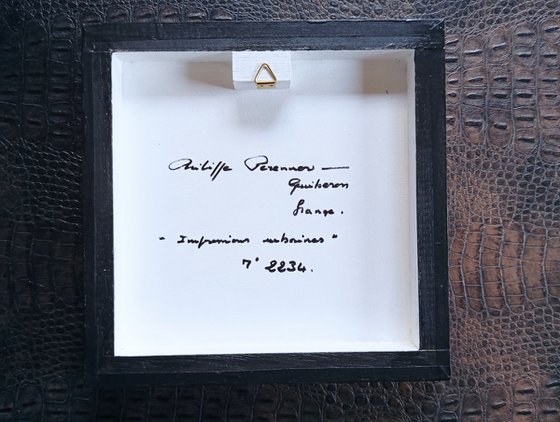 Impressions urbaines N° 2234