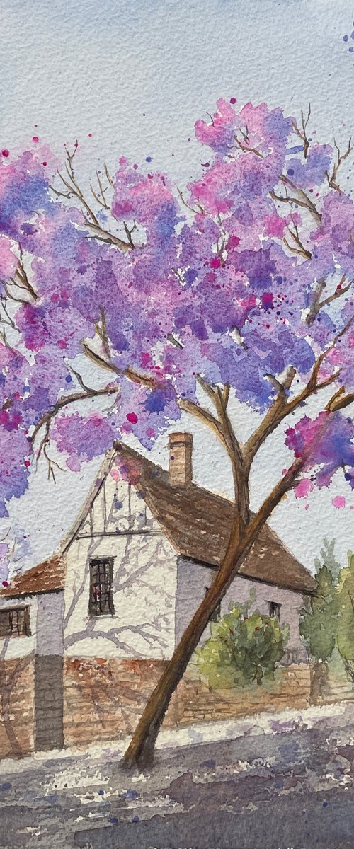 White House with Jacaranda by Shelly Du