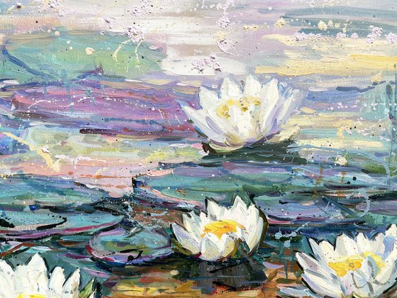"Water lilies"