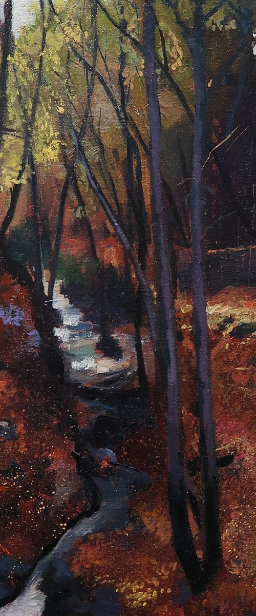 Forest feasts. The stream by Roeland Kneepkens