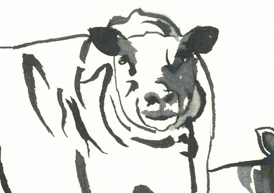Sheep I Animal Drawing
