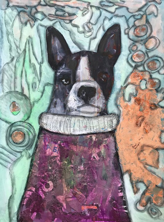 Boston terrier #2