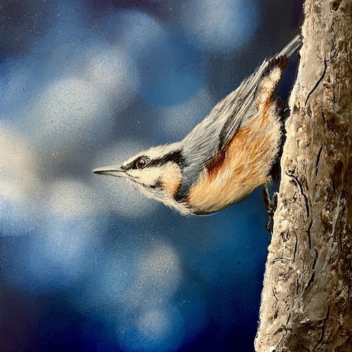 Bird #20 (nuthatch) by Selene's Art