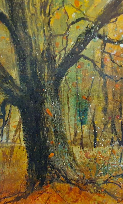 One Oak in Autumn by Teresa Tanner