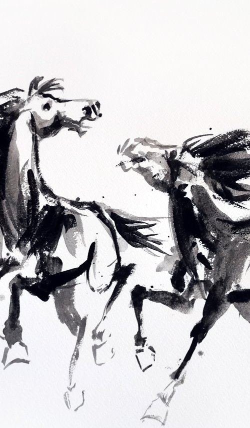 HORSES by Nicolas GOIA