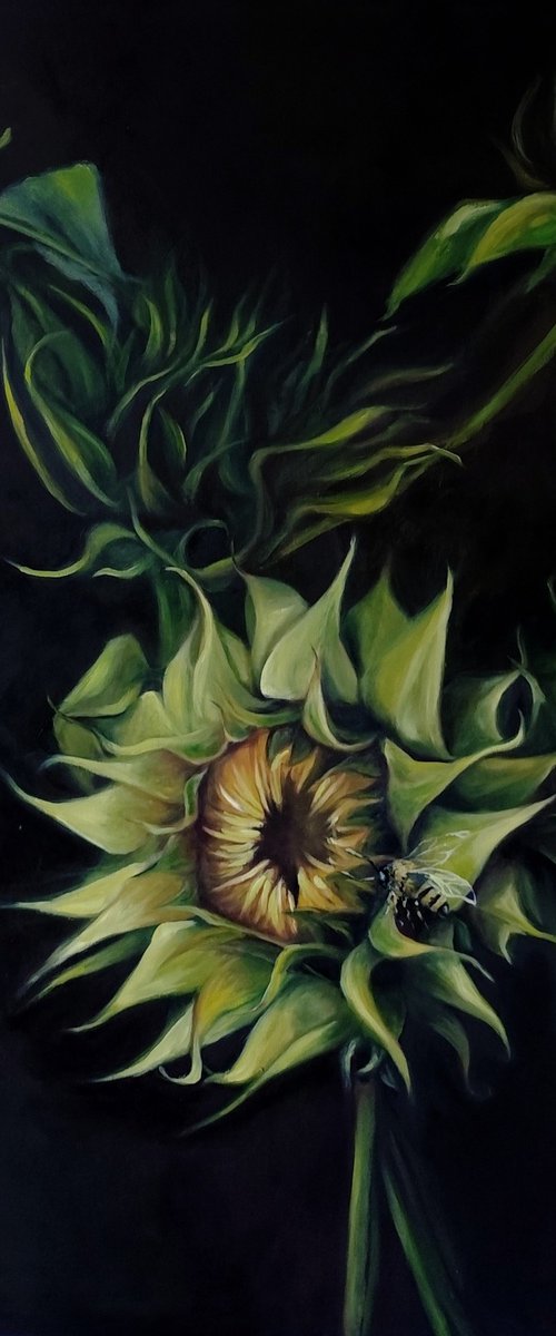 Hunter of Light - Sunflower in Bud by Veronica Ciccarese