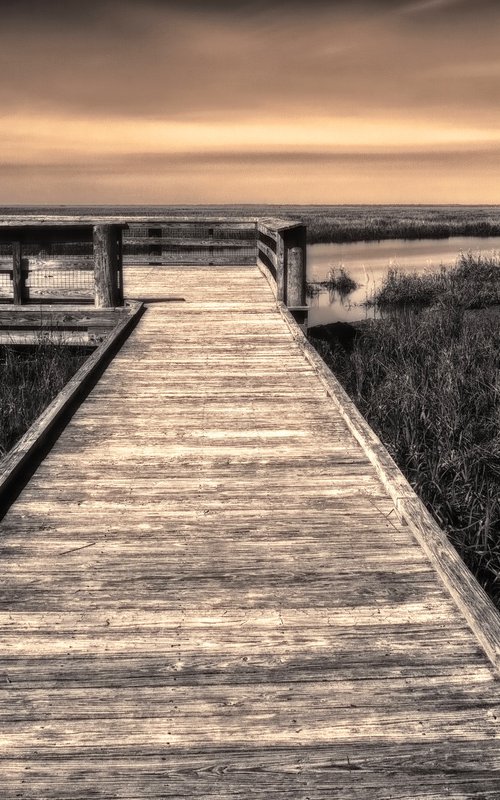 "Marsh Boardwalk" C by John McManus