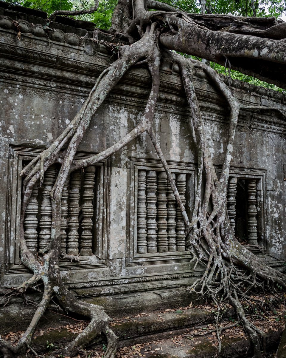 Photorealistic Abstract Photograph By Serge Horta, 12 X 15", Angkor Series No.11, Original Artwork