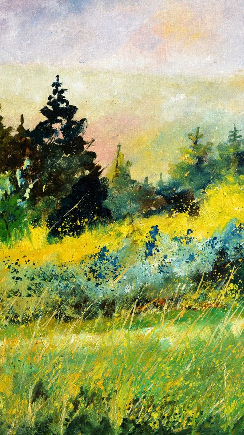 Meadow in my countryside by Pol Henry Ledent
