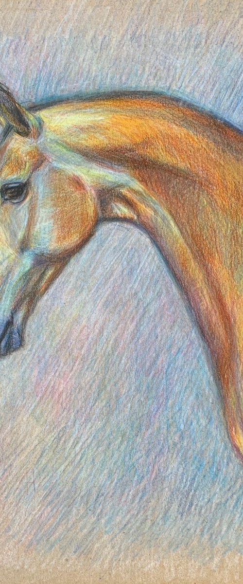 Akhal-Teke Horse by Nataliia Zaharuk