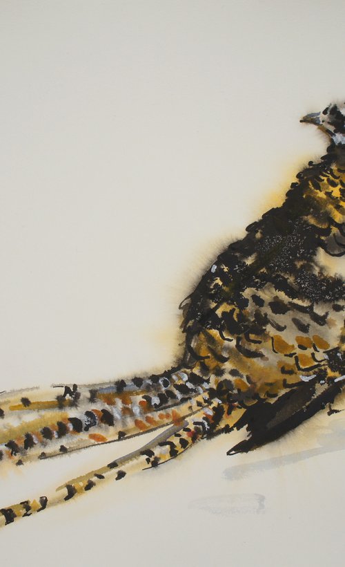 Royal pheasant by Elena Sanina