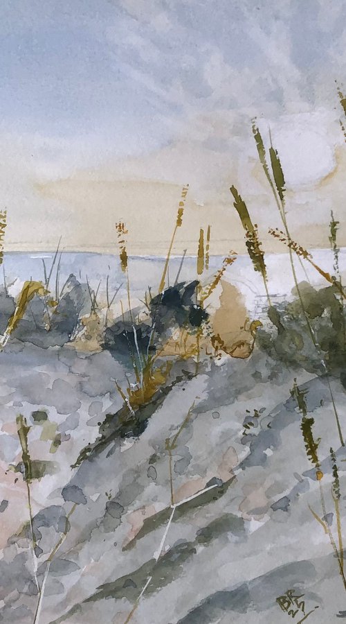 Dune IV by Bernd Rieve