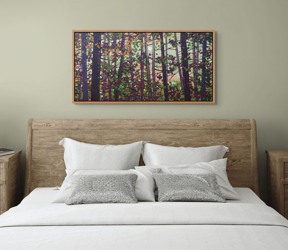 Light Through the Woods