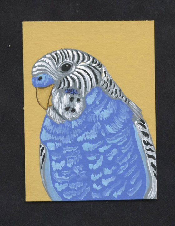 ACEO ATC Original Miniature Painting Parrot Budgie Parakeet Pet Bird Art-Carla Smale