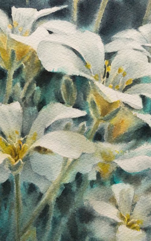 White flowers by Lida Duchnewitsch