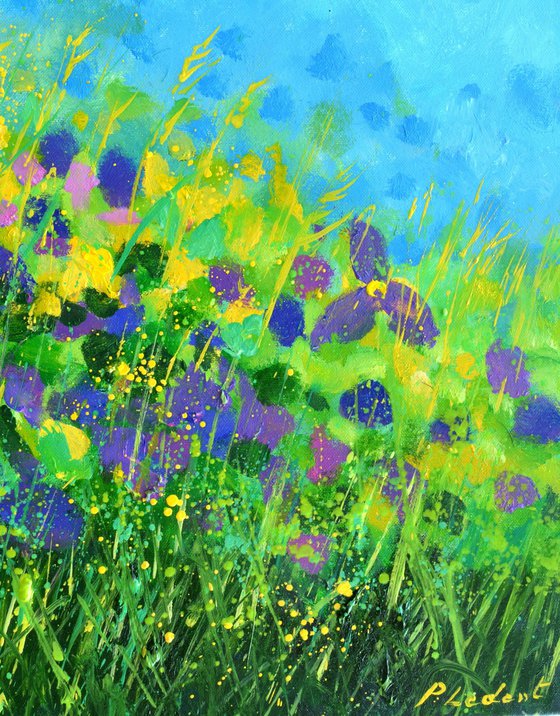 Summer wild flowers   -  5623