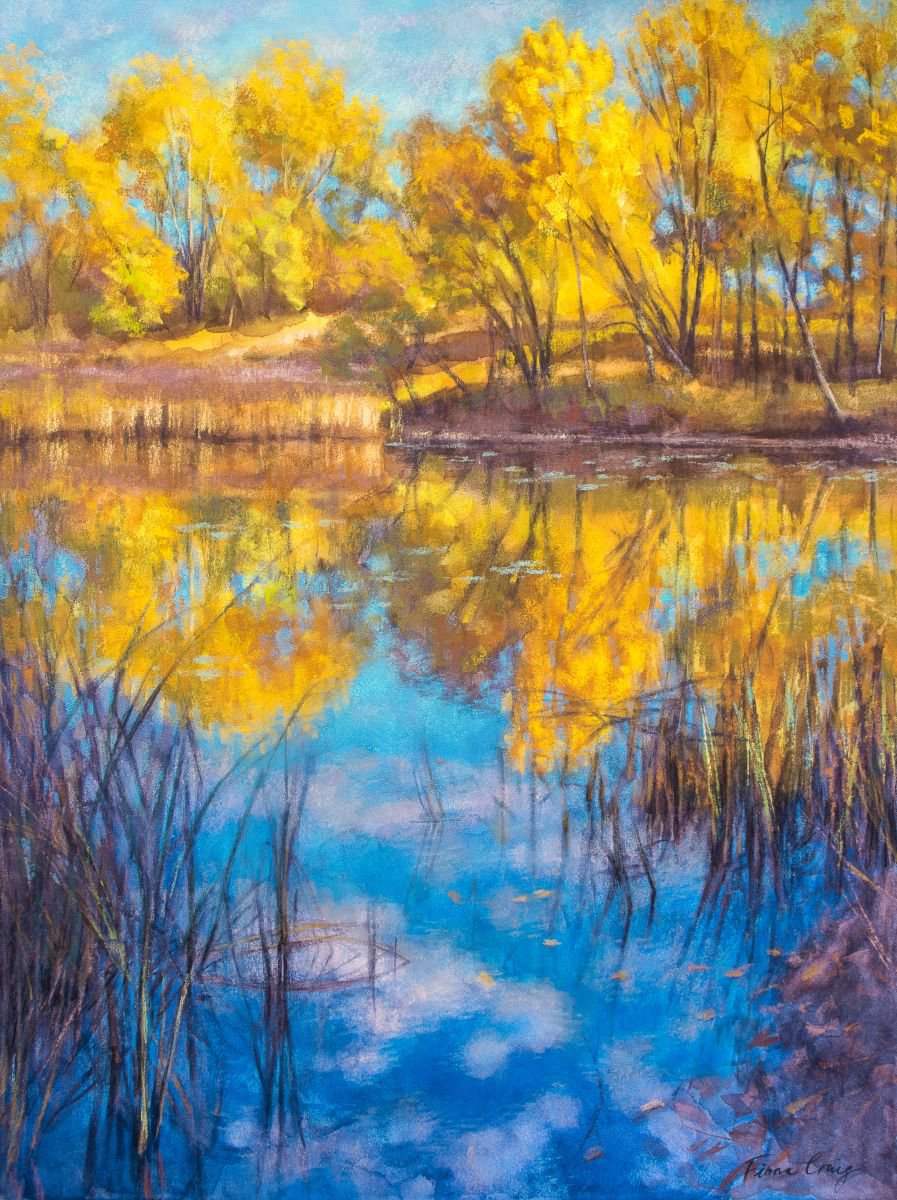Autumn on Wetlands by Fiona Craig
