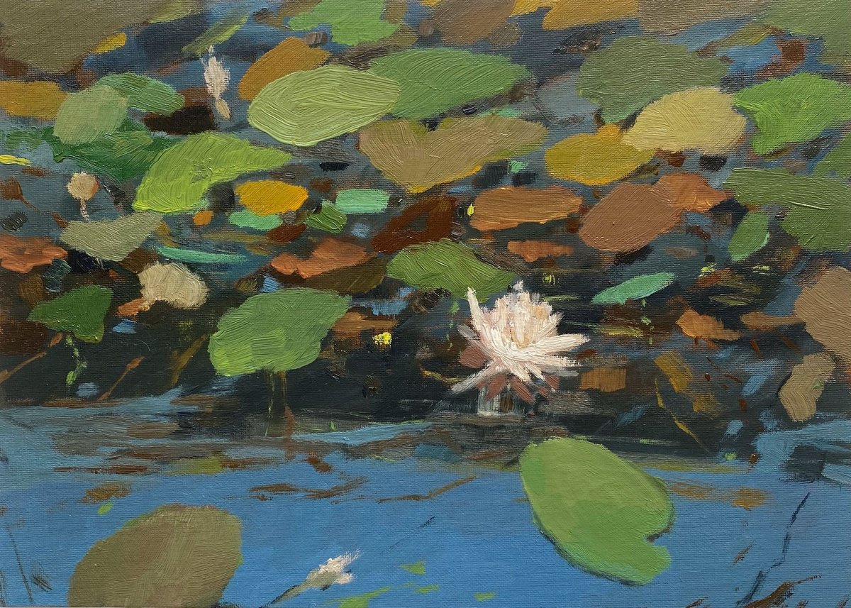 Impressionistic Landscape Oil Painting By Bohdan Vykhrenko, 14 X 10, Lotus Flower, Original Artwork