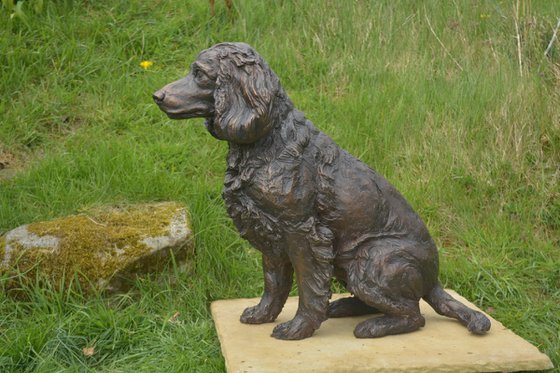 Working Spaniel FB
