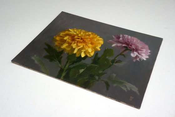 Chrysanthemums