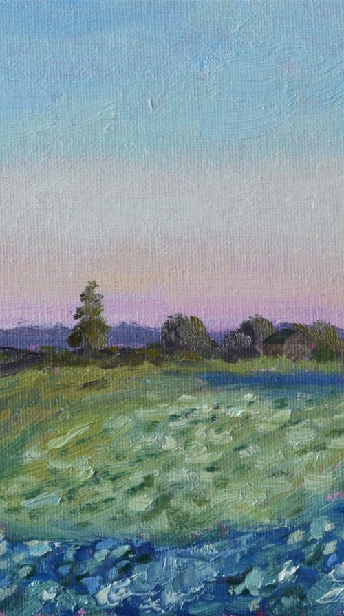 Cabbage Field by Andrea Bocedi