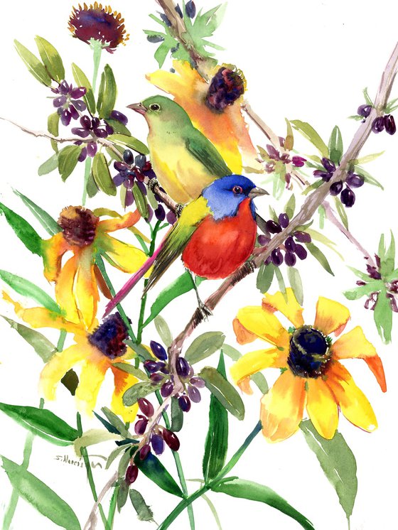 Painted Bunting BIrds