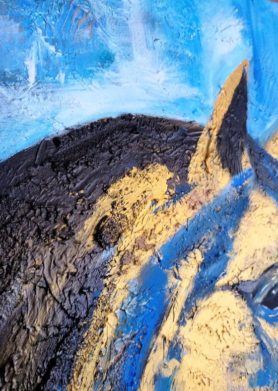 Golden Gaze