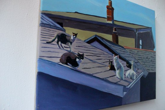 Cats on A Hot Tiled Roof