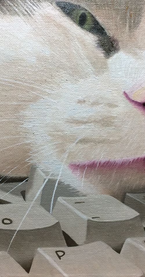 Cat on the Keyboard by Jill Ann Harper