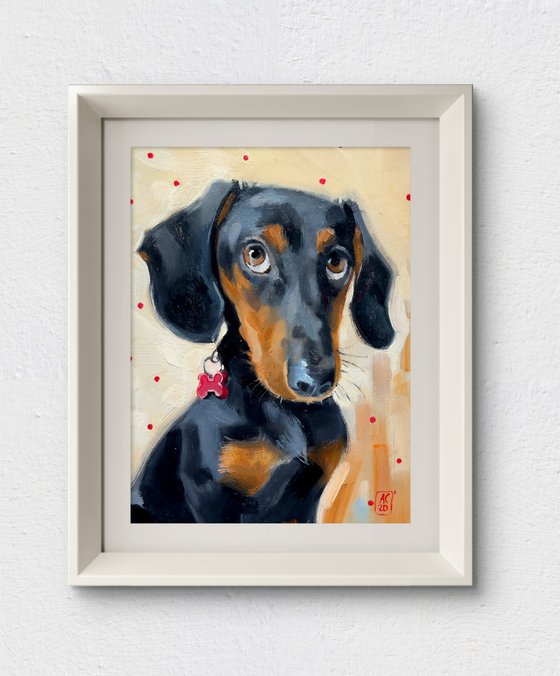 Dachshund