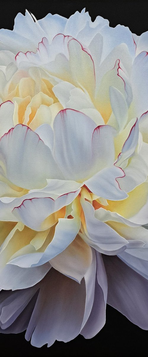Scent of white peony by Anna Steshenko