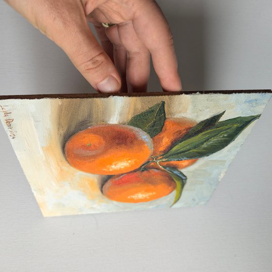 Clementine fruit still life