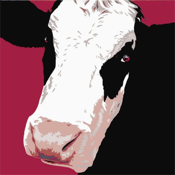 Cow on magenta