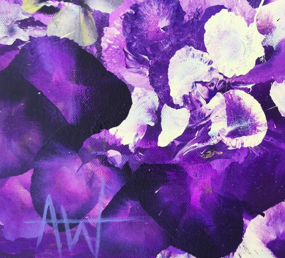 Violet Drift