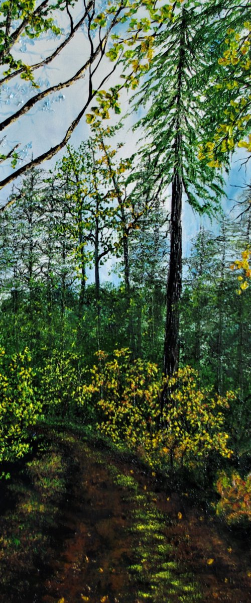 A Walk Through Summer And Autumn by Hazel Thomson