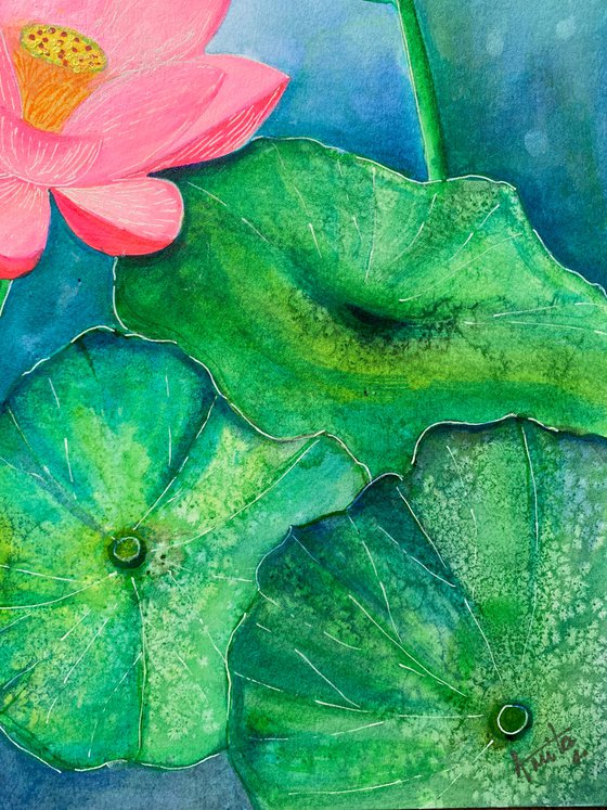 Lotus Bloom II ! A3 size Painting on paper