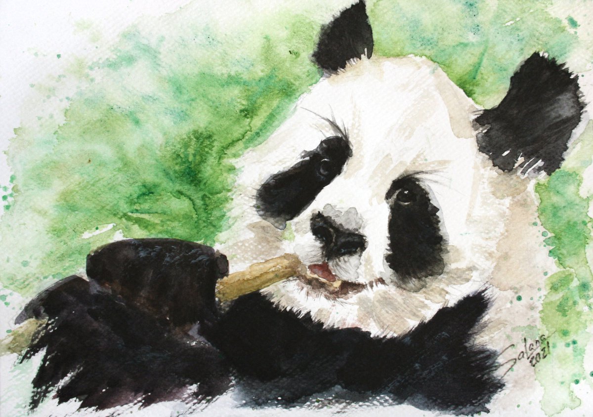 Panda IV - Animal portrait /  ORIGINAL PAINTING by Salana Art Gallery