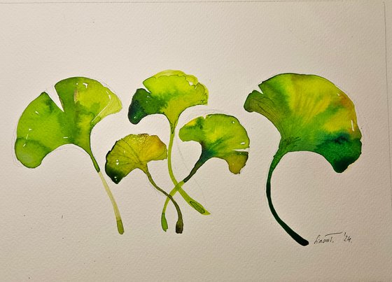 Harmony of Ginkgo