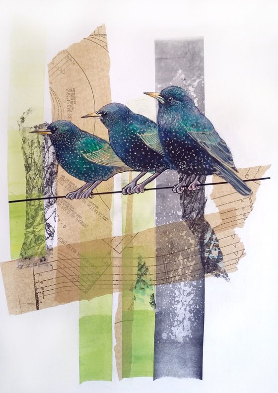 Waiting online - Starling painting