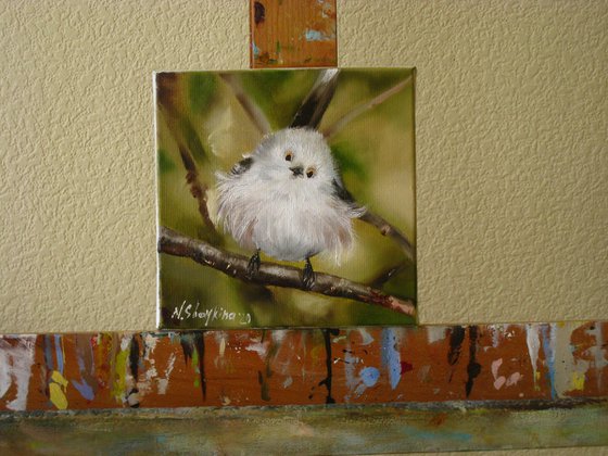 Fluffy white bird